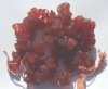 16-inch Strand of Dyed Milky Brown/Red Glass Chips